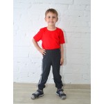 Брюки штаны спортивные Б-1910 детские-темно-серый