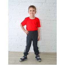Брюки штаны спортивные Б-1910 детские-темно-серый